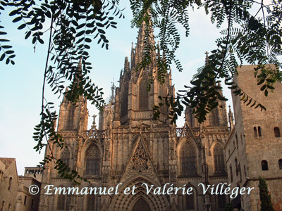 La cathédrale dans la vieille ville