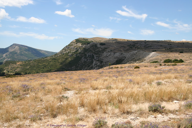 Calern au cœur de l'été.