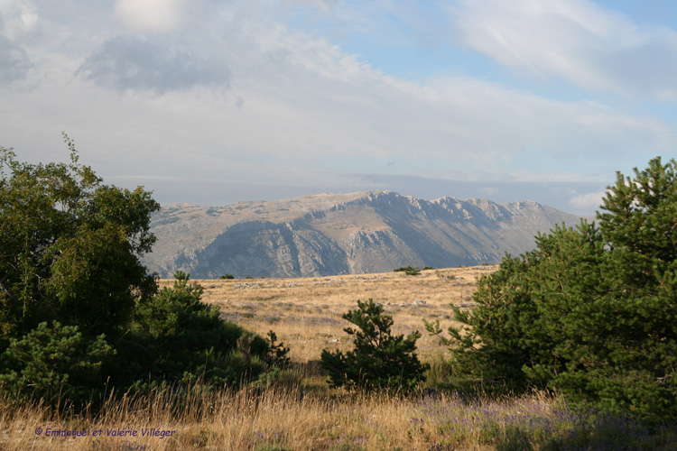 Vue vers le nord de Calern