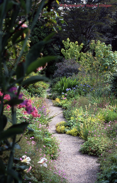 Arduaine's garden.