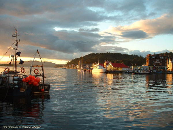 Sunset in the harbour of Oban.