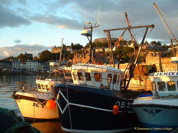 Sunset in the harbour of Oban.