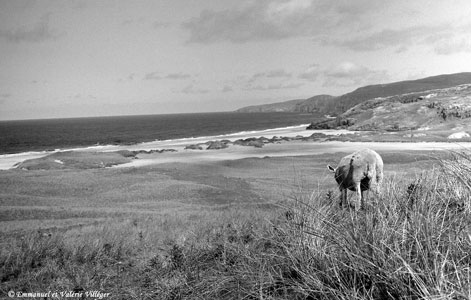 The gentle slopes leading to Sandwood bay