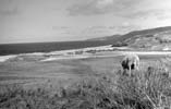 The gentle slopes leading to Sandwood bay