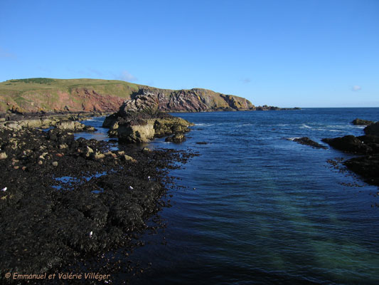 Bord de mer à Saint Abbs