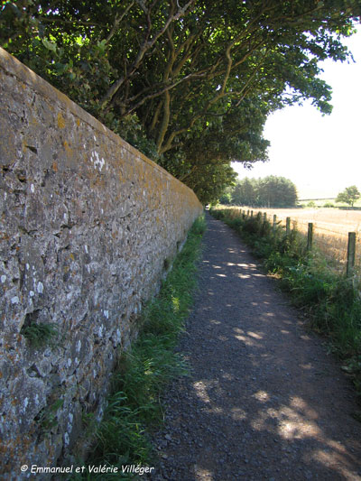 Début du chemin vers Saint Abbs Head