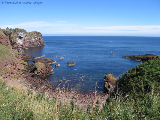 Chemin vers Saint Abbs Head