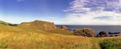 Saint Abbs Head