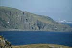 Vue vers le nord de Saint Abbs Head