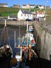 Le port de Saint Abbs