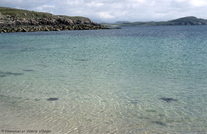 A Reiff, les pieds dans l'eau