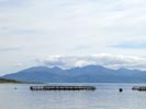 De la péninsule de Cowal à Tarbert dans le Kintyre. Vue sur Arran.