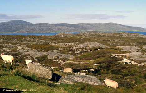 La côte est, minérale et découpée de Harris