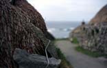 A thatched roof in Gearrannan