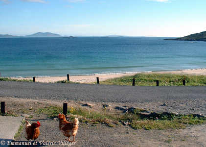 The beach of Huisinis and its hens from the car park