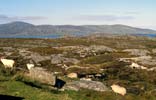 Eastern coast of Harris along the golden road