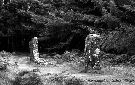 Pierres debouts au dessus de Dervaig