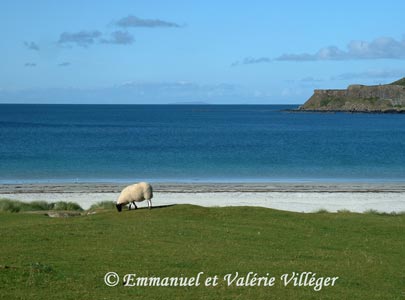Calgary bay