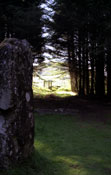 Standing stones near Dervaig