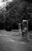 Standing stones near Dervaig