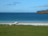 Calgary bay