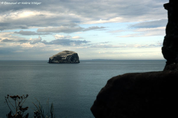 Bass Rock vue de Tantallon castle