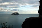 Bass Rock, covered with gannets seen from Tantallon castle