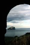 Bass Rock, covered with gannets seen from Tantallon castle