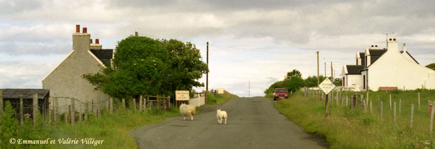 Les routes encombrées de Skye