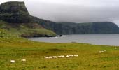 Les falaises aux alentours de Neist Point comptent parmi les plus impressionnantes de l'île de Skye. Les moutons paturent librement autour du phare