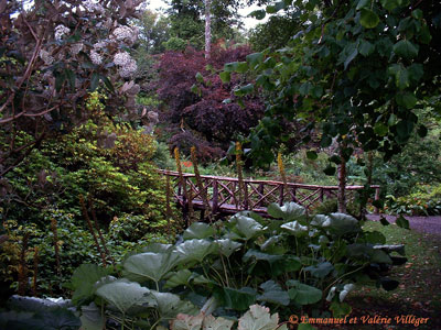 The gardens of Dunvegan castle