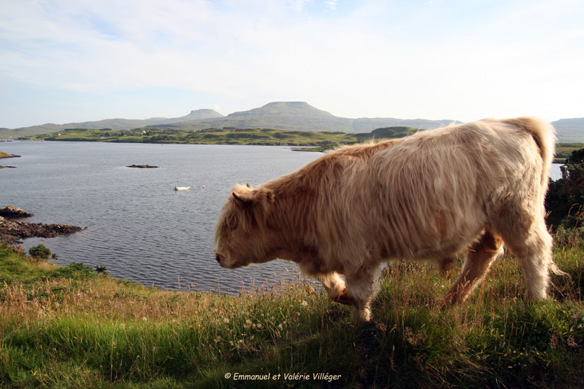 Les tables de McLeod derrière loch Dunvegan