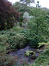 The gardens of Dunvegan castle