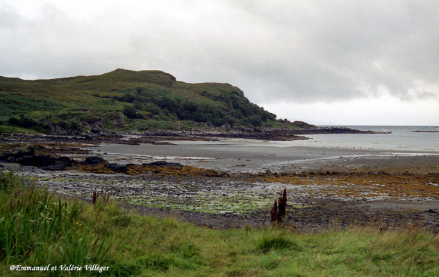 Tarskavaig