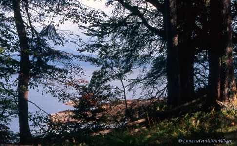 Vue du parc d'Armadale