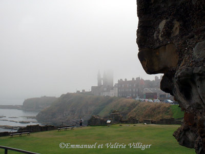 Château de St Andrews, au fond la cathédrale dans la brume