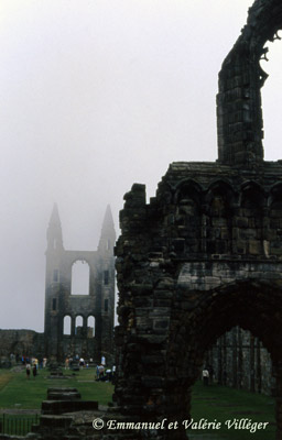 La cathédrale de St Andrews