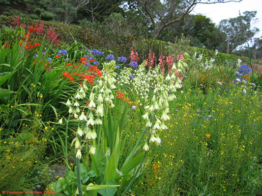 Inverewe walled garden