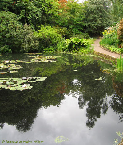 Lilypond in Inverewe gardens