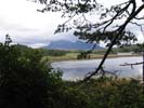 Inverewe garden