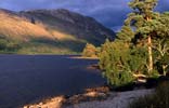 Loch Maree